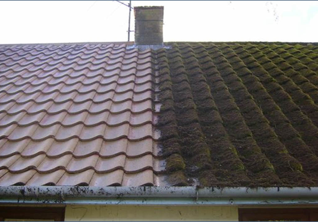 Roof Moss Removal Services in Clyde Hill WA